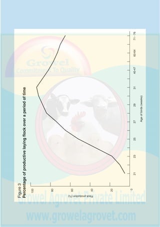 12 Egg production
Age of % of flock No. of No. of
flock laying birds eggs
(in weeks) laying produced
per week
21 5 5 20
22 10 10 40
23 18 18 72
24 34 34 136
25 52 52 208
26 65 65 260
27 74 74 296
28 84 84 336
29 88 88 352
30 92 92 368
31 94 94 376
32 - 39 88 88 352
40 - 47 83 83 332
48 - 59 77 77 308
60 - 64 73 73 292
65 - 70 70 70 280
71 - 76 65 65 260
Table 2
Production schedule in temperate climate (100 birds)
as prices for eggs. In some instances when egg prices are high it may be viable
to delay culling birds until only 45 percent of the flock is still laying eggs
(78 weeks of age).
 