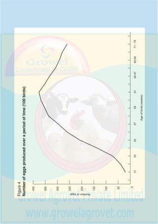 Figure3
Percentageofproductivelayingflockoveraperiodoftime
0
20
40
60
80
100
21232527293140-4760-6471-76
Ageofbirds(weeks)
Flockproduction(%)
 