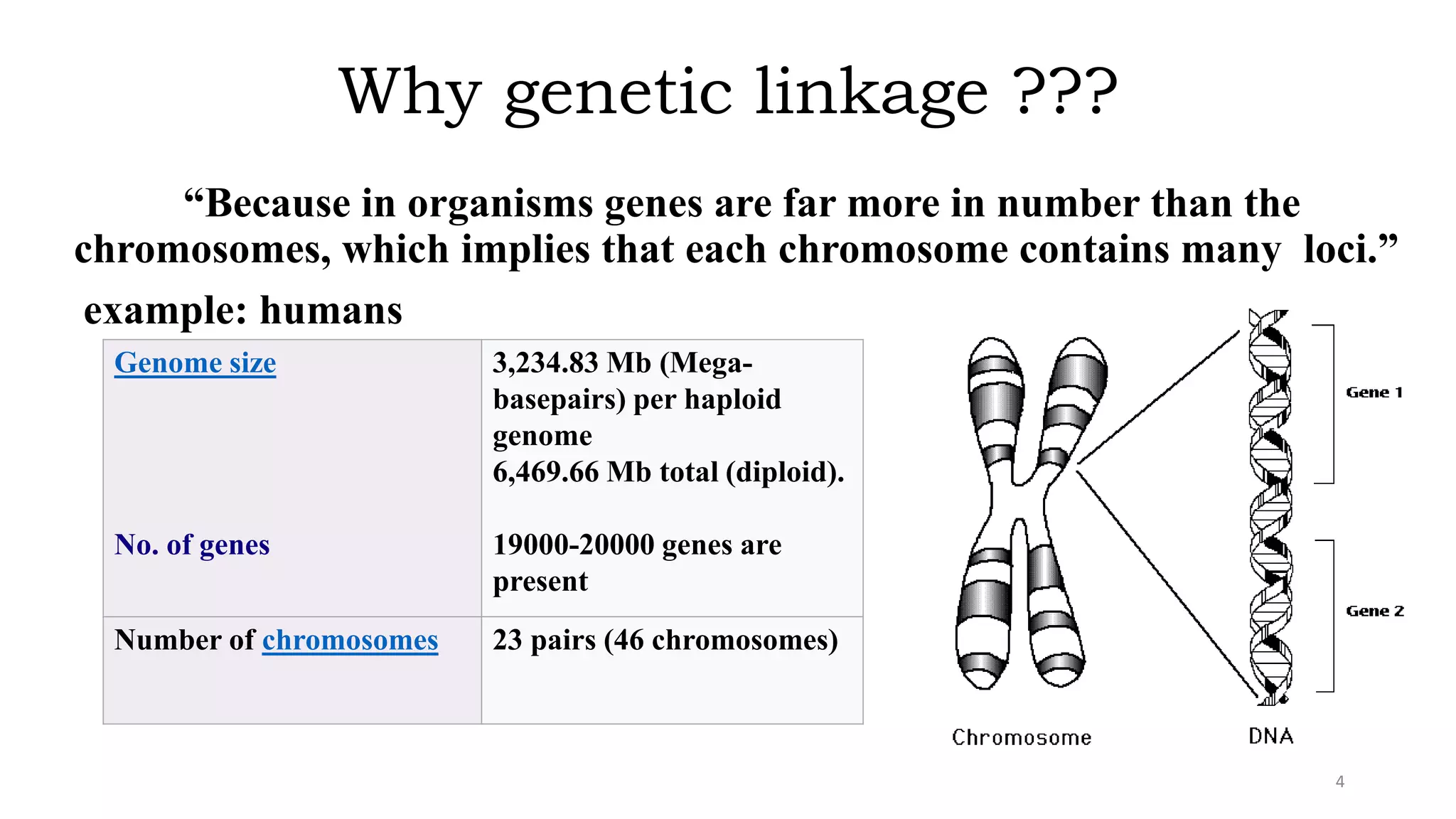 Why genetic linkage ???
“Because in organisms genes are far more in number than the
chromosomes, which implies that each chromosome contains many loci.”
example: humans
Genome size
No. of genes
3,234.83 Mb (Mega-
basepairs) per haploid
genome
6,469.66 Mb total (diploid).
19000-20000 genes are
present
Number of chromosomes 23 pairs (46 chromosomes)
4
 
