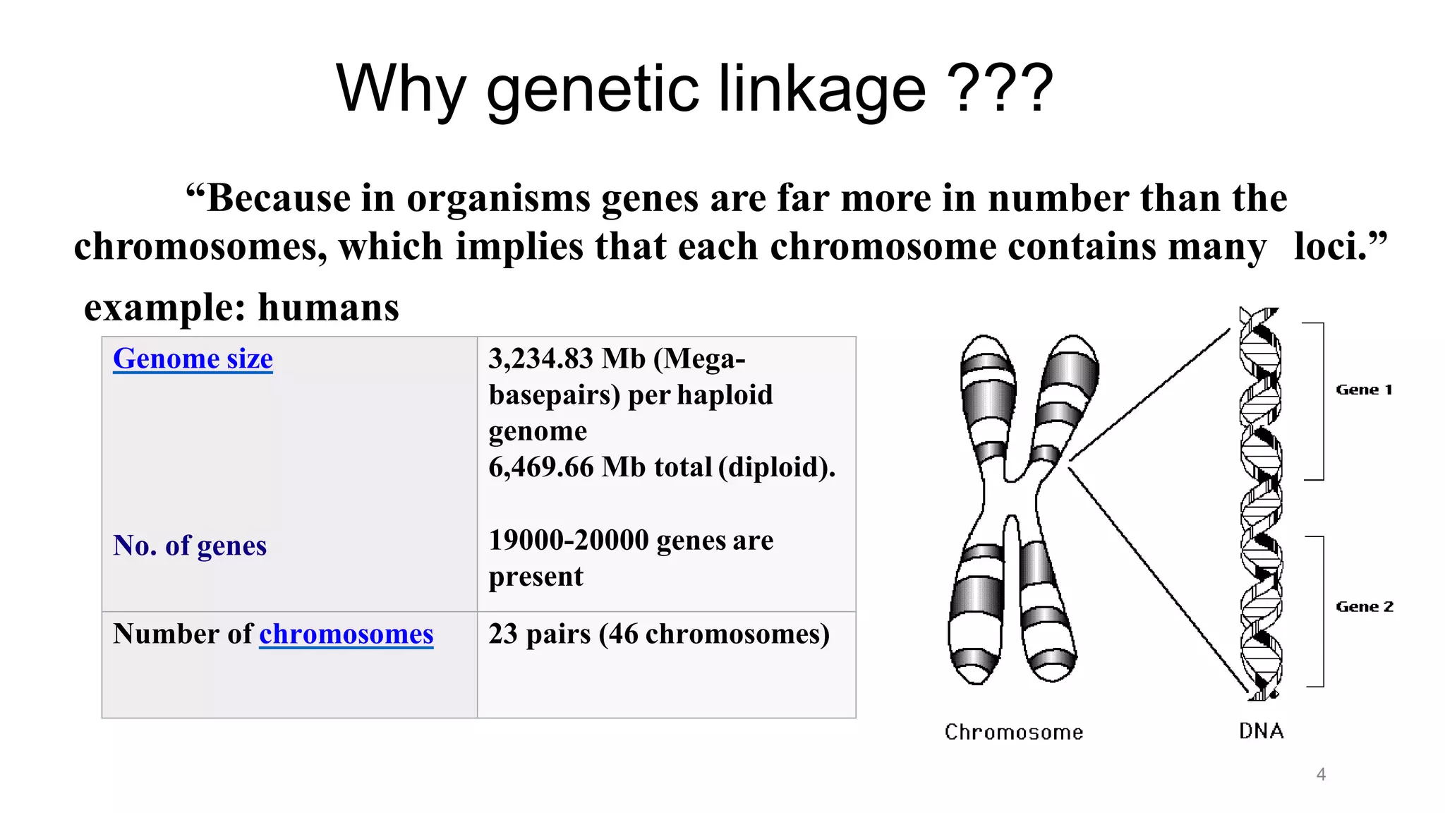 Why genetic linkage ???
“Because in organisms genes are far more in number than the
chromosomes, which implies that each chromosome contains many loci.”
example: humans
Genome size
No. of genes
3,234.83 Mb (Mega-
basepairs) per haploid
genome
6,469.66 Mb total (diploid).
19000-20000 genes are
present
Number of chromosomes 23 pairs (46 chromosomes)
4
 