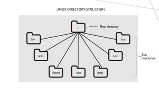 BASICS OF LINUX OPERATING SYSTEM.pptx | Operating Systems | Computer ...