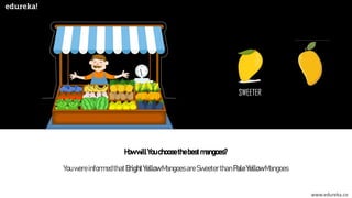 www.edureka.co
Youwereinformedthat BrightYellowMangoesareSweeterthanPaleYellowMangoes
HowwillYouchoosethebestmangoes?
SWEETER
 