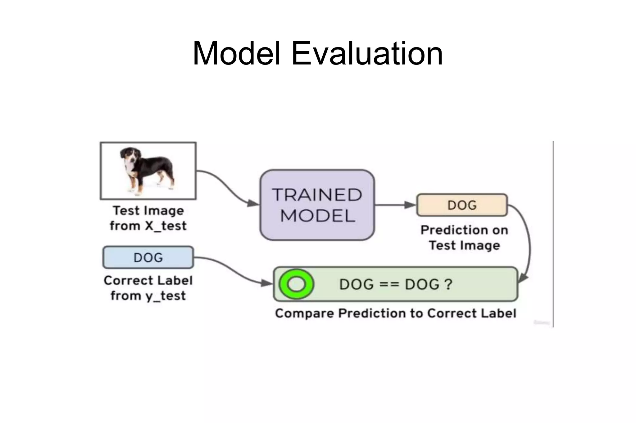 Model Evaluation