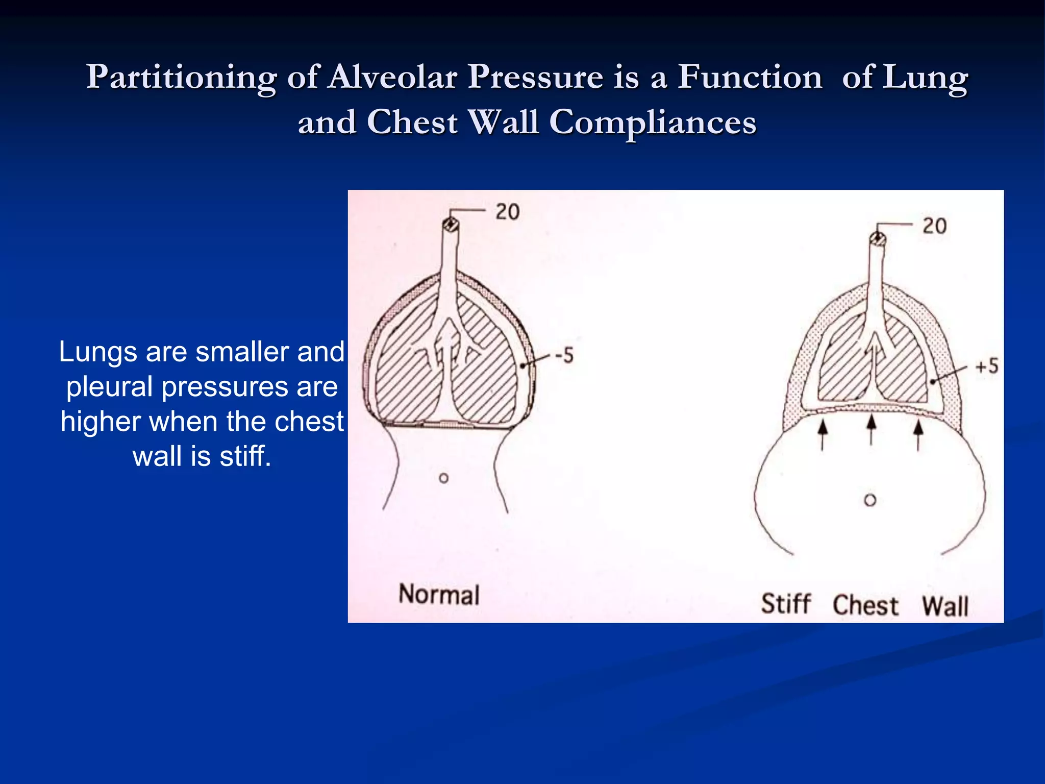 Partitioning of Alveolar Pressure is a Function of Lung
and Chest Wall Compliances
Lungs are smaller and
pleural pressures are
higher when the chest
wall is stiff.
 