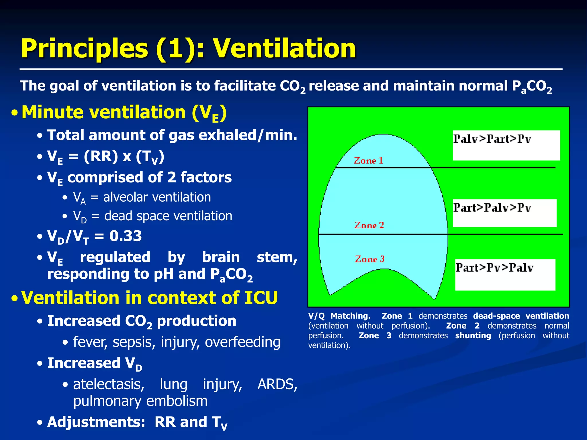 Principles (1): Ventilation
The goal of ventilation is to facilitate CO2 release and maintain normal PaCO2
•Minute ventilation (VE)
• Total amount of gas exhaled/min.
• VE = (RR) x (TV)
• VE comprised of 2 factors
• VA = alveolar ventilation
• VD = dead space ventilation
• VD/VT = 0.33
• VE regulated by brain stem,
responding to pH and PaCO2
•Ventilation in context of ICU
• Increased CO2 production
• fever, sepsis, injury, overfeeding
• Increased VD
• atelectasis, lung injury, ARDS,
pulmonary embolism
• Adjustments: RR and TV
V/Q Matching. Zone 1 demonstrates dead-space ventilation
(ventilation without perfusion). Zone 2 demonstrates normal
perfusion. Zone 3 demonstrates shunting (perfusion without
ventilation).
 