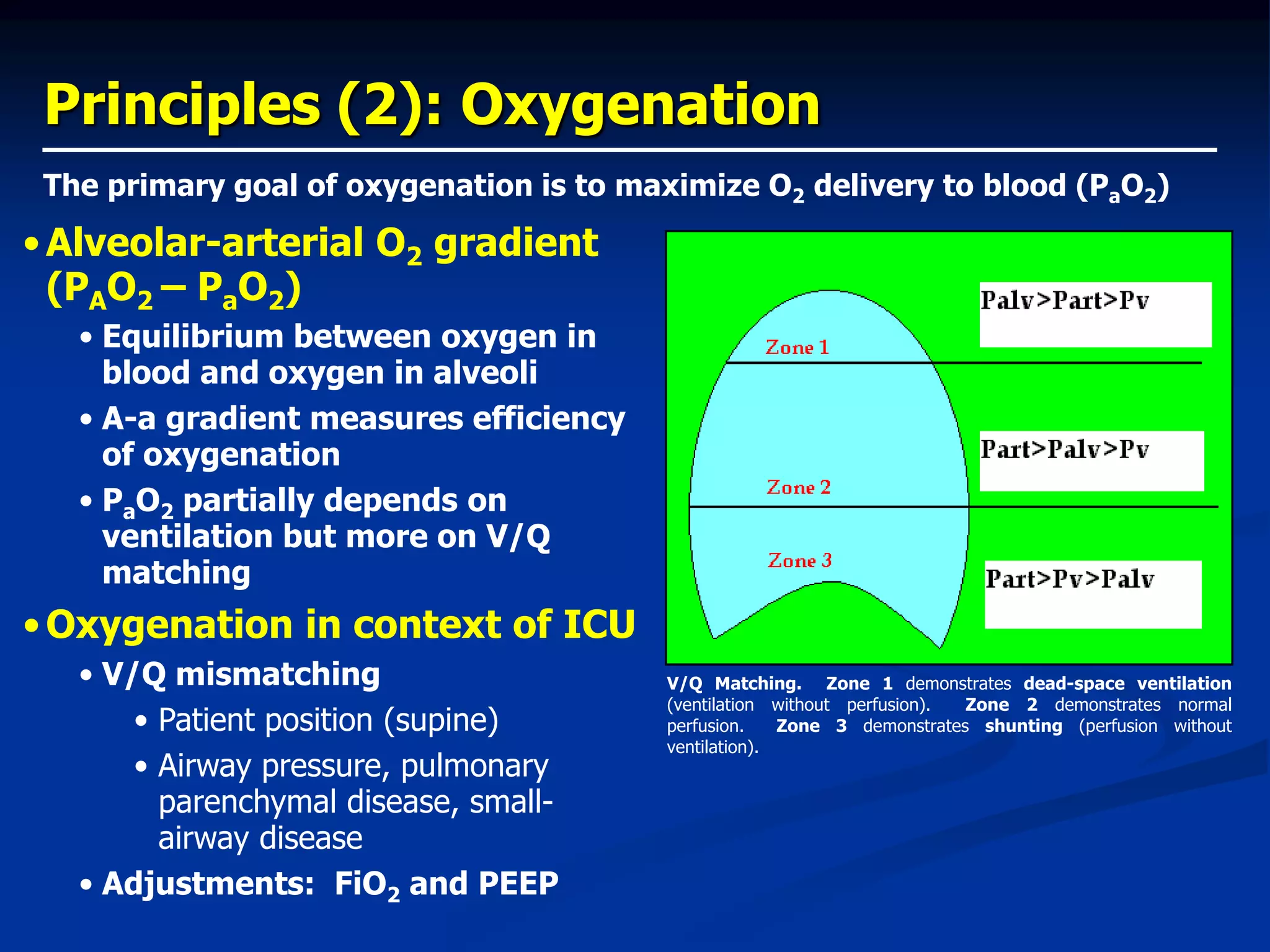 Principles (2): Oxygenation
The primary goal of oxygenation is to maximize O2 delivery to blood (PaO2)
•Alveolar-arterial O2 gradient
(PAO2 – PaO2)
• Equilibrium between oxygen in
blood and oxygen in alveoli
• A-a gradient measures efficiency
of oxygenation
• PaO2 partially depends on
ventilation but more on V/Q
matching
•Oxygenation in context of ICU
• V/Q mismatching
• Patient position (supine)
• Airway pressure, pulmonary
parenchymal disease, small-
airway disease
• Adjustments: FiO2 and PEEP
V/Q Matching. Zone 1 demonstrates dead-space ventilation
(ventilation without perfusion). Zone 2 demonstrates normal
perfusion. Zone 3 demonstrates shunting (perfusion without
ventilation).
 