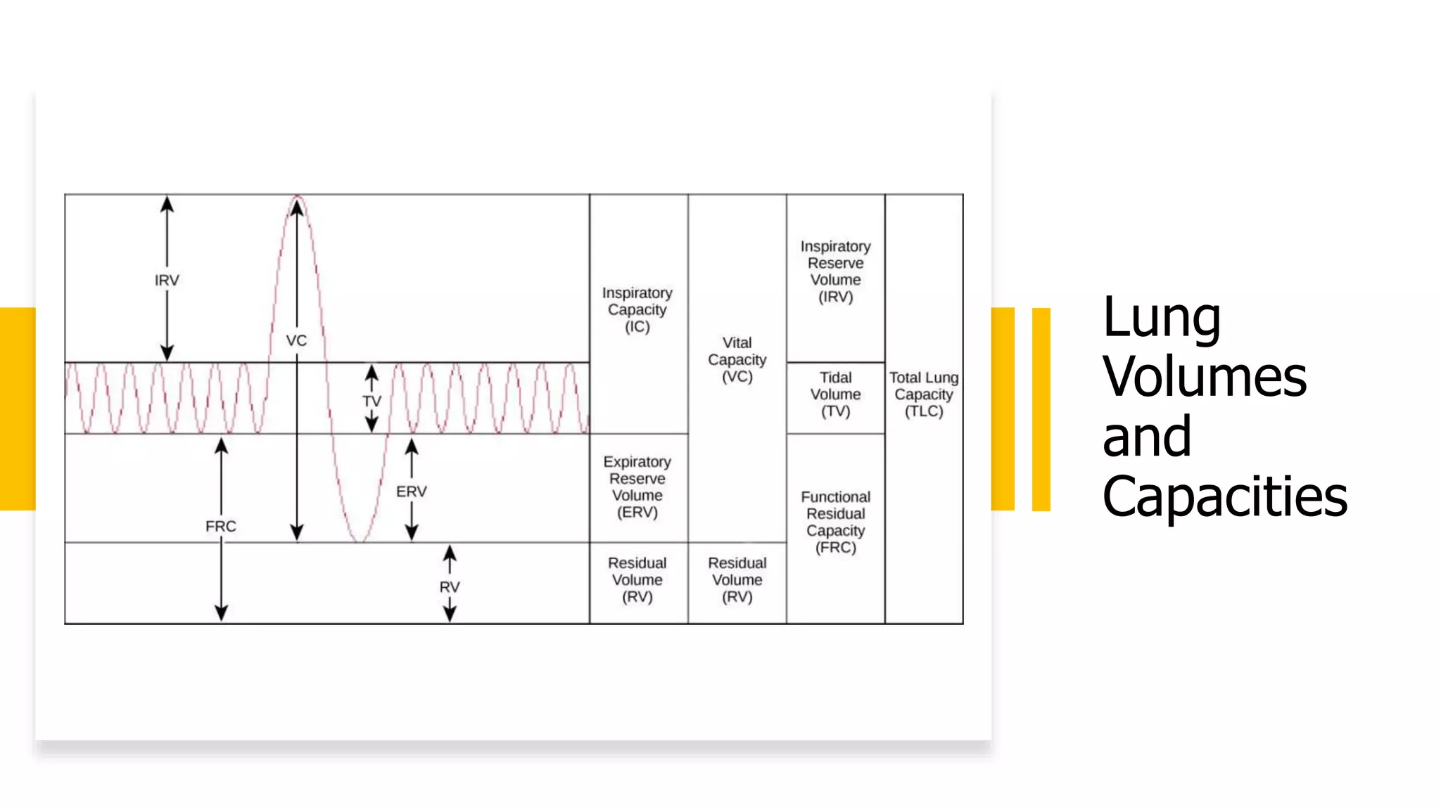 Lung
Volumes
and
Capacities
 