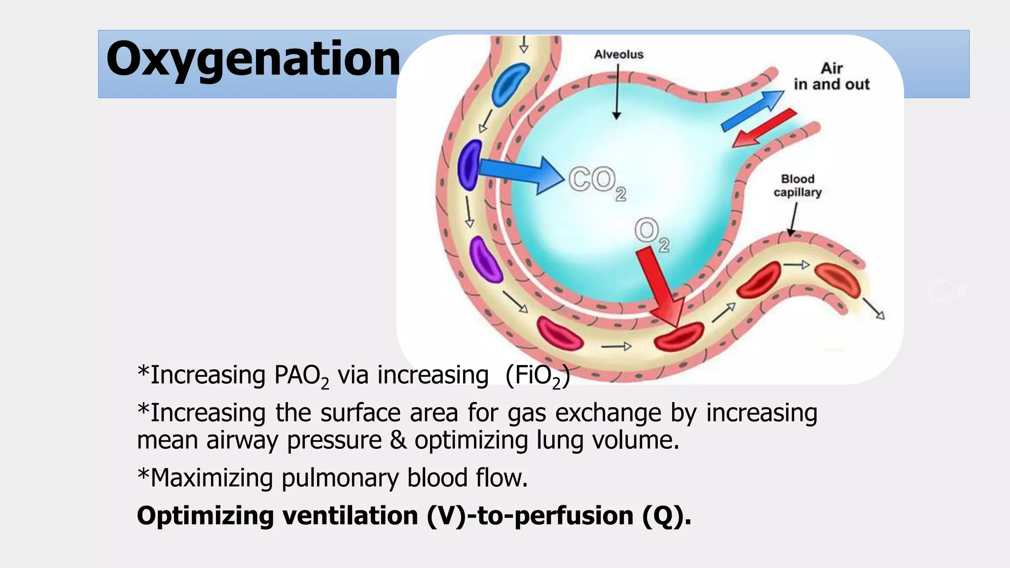 Basics
Oxygenation
*Increasing PAO2 via increasing (FiO2)
*Increasing the surface area for gas exchange by increasing
mean airway pressure & optimizing lung volume.
*Maximizing pulmonary blood flow.
Optimizing ventilation (V)-to-perfusion (Q).
 