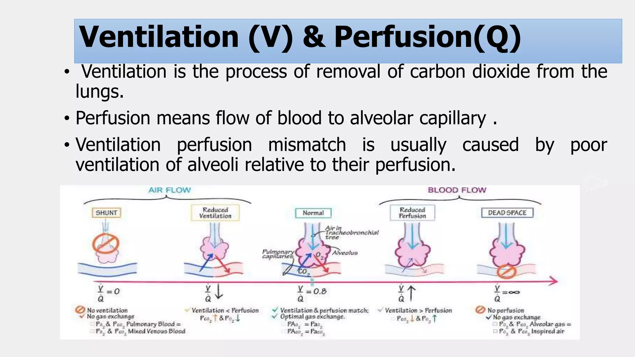 Basics
Ventilation (V) & Perfusion(Q)
• Ventilation is the process of removal of carbon dioxide from the
lungs.
• Perfusion means flow of blood to alveolar capillary .
• Ventilation perfusion mismatch is usually caused by poor
ventilation of alveoli relative to their perfusion.
 