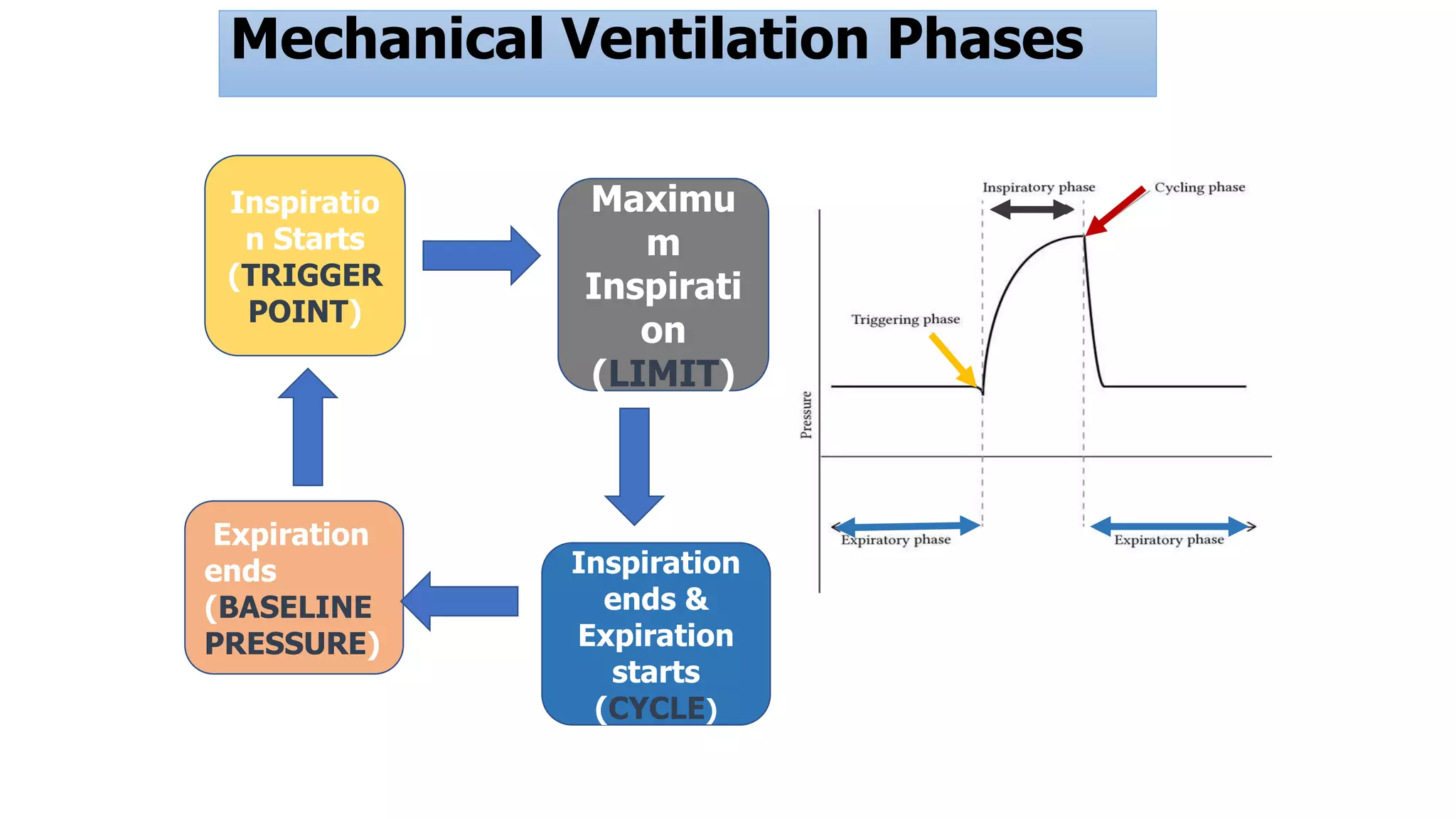 Mechanical Ventilation Phases
Inspiration
ends &
Expiration
starts
(CYCLE)
Expiration
ends
(BASELINE
PRESSURE)
Inspiratio
n Starts
(TRIGGER
POINT)
Maximu
m
Inspirati
on
(LIMIT)
 