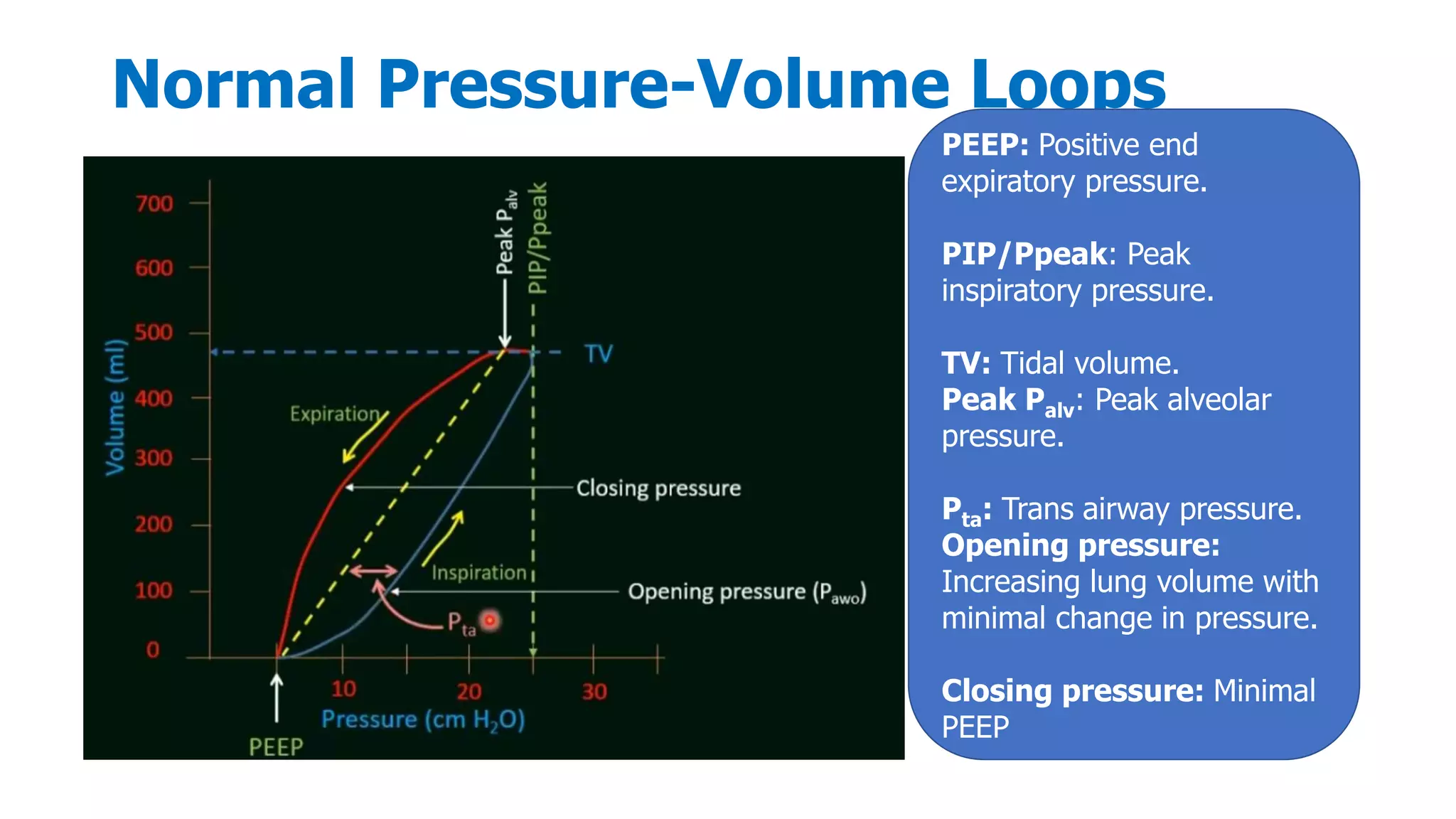 Normal Pressure-Volume Loops
PEEP: Positive end
expiratory pressure.
PIP/Ppeak: Peak
inspiratory pressure.
TV: Tidal volume.
Peak Palv: Peak alveolar
pressure.
Pta: Trans airway pressure.
Opening pressure:
Increasing lung volume with
minimal change in pressure.
Closing pressure: Minimal
PEEP
 