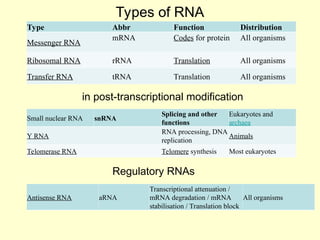 Comprehensive Overview of Molecular Biology: DNA, RNA, and Protein ...