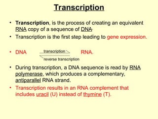 Comprehensive Overview of Molecular Biology: DNA, RNA, and Protein ...