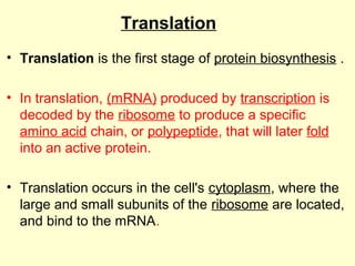 Basics of molecular biology | PDF