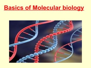 Basics of Molecular biology
 