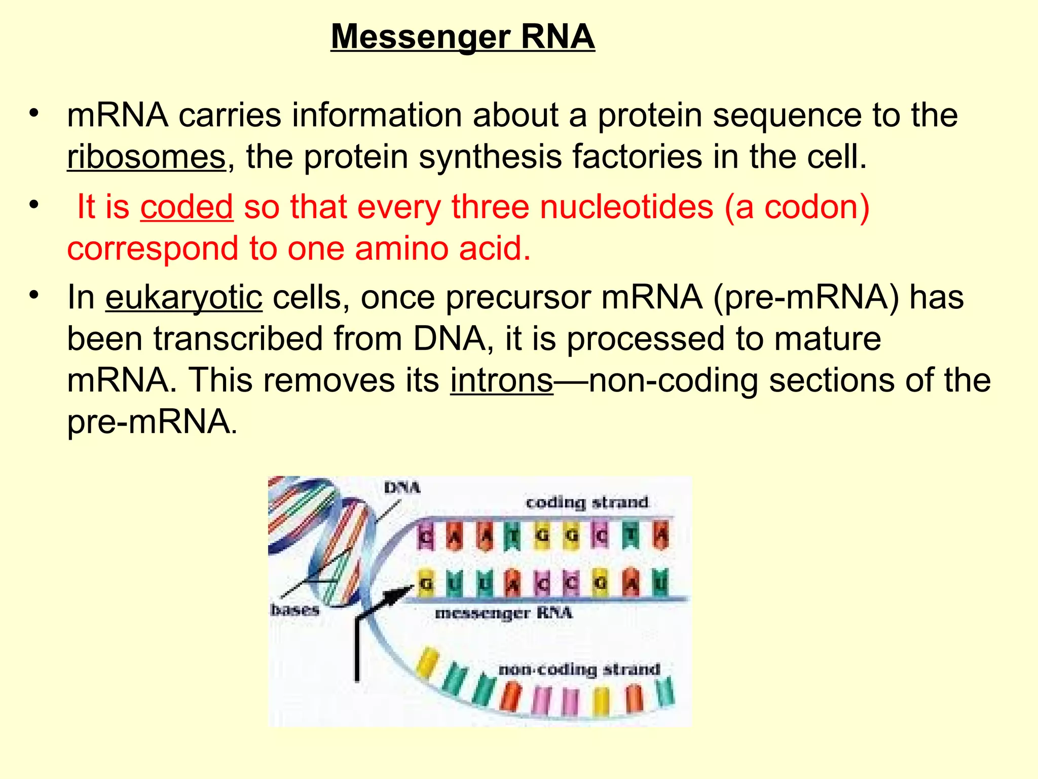 BASICS OF MOLECULAR BIOLOGY PPT