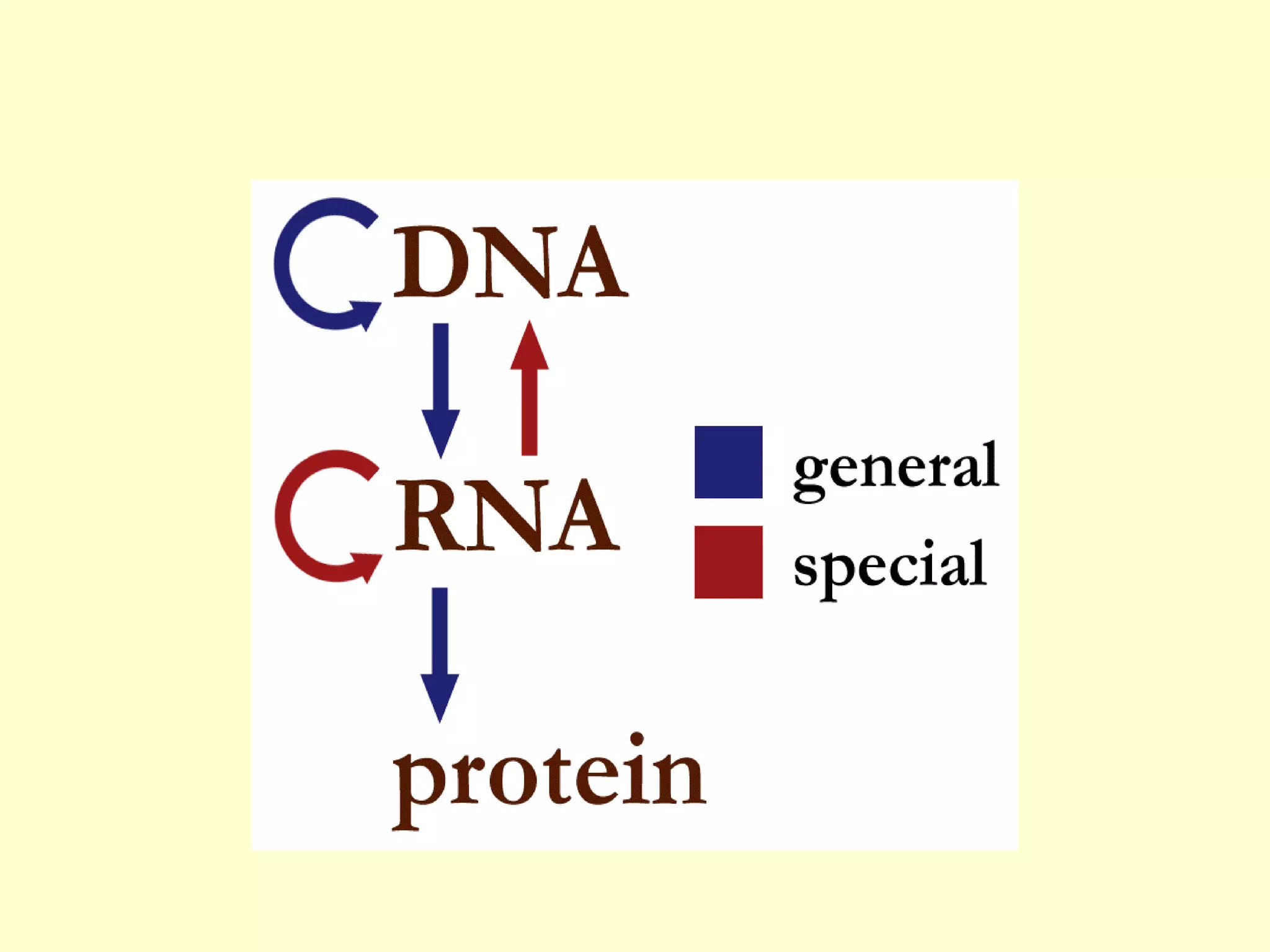 BASICS OF MOLECULAR BIOLOGY | PPT