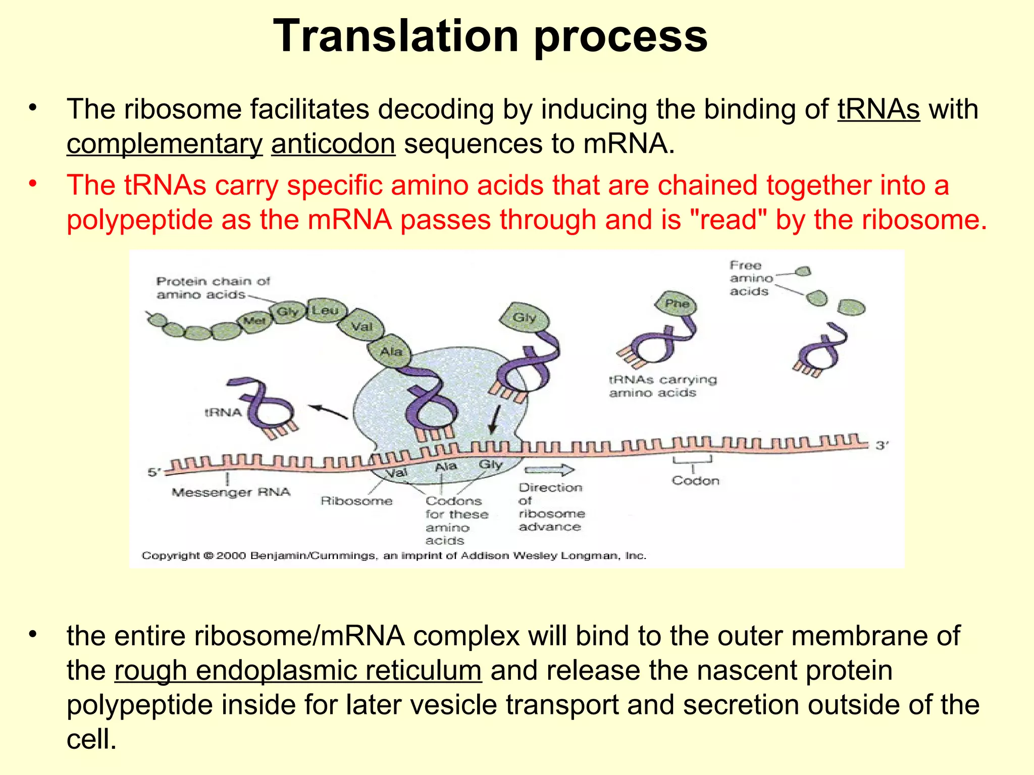 BASICS OF MOLECULAR BIOLOGY PPT