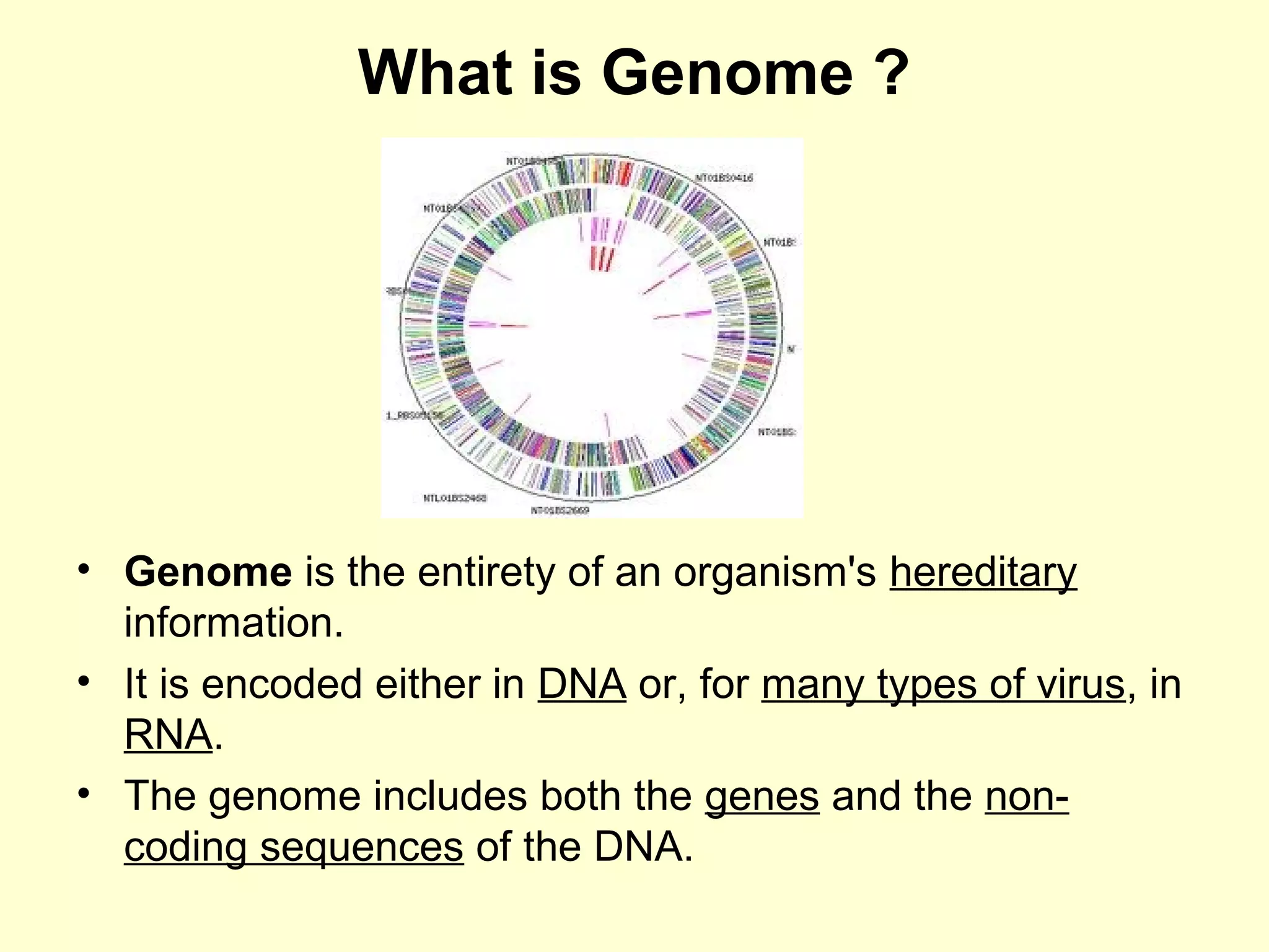 BASICS OF MOLECULAR BIOLOGY | PPT