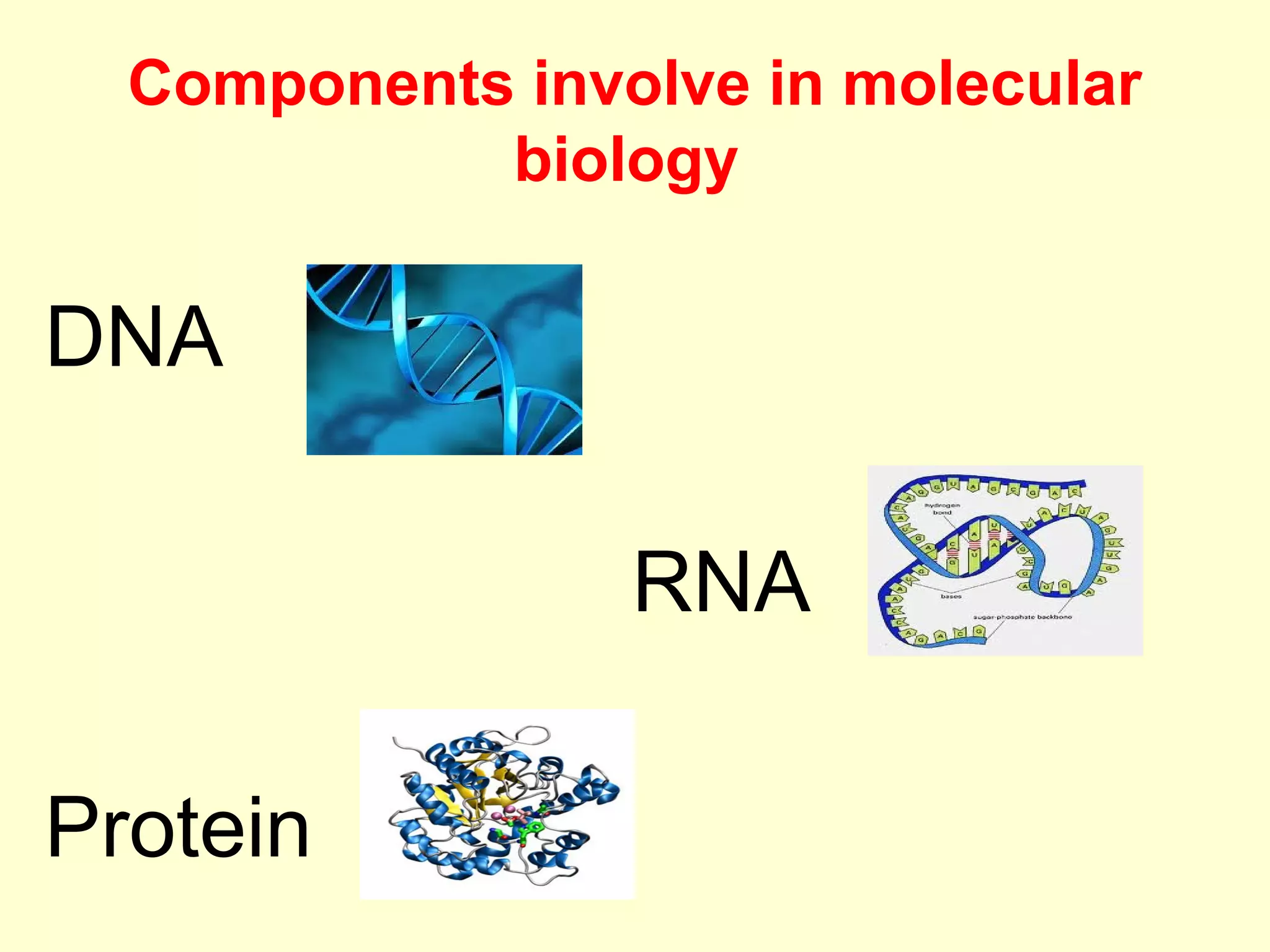 BASICS OF MOLECULAR BIOLOGY | PPT