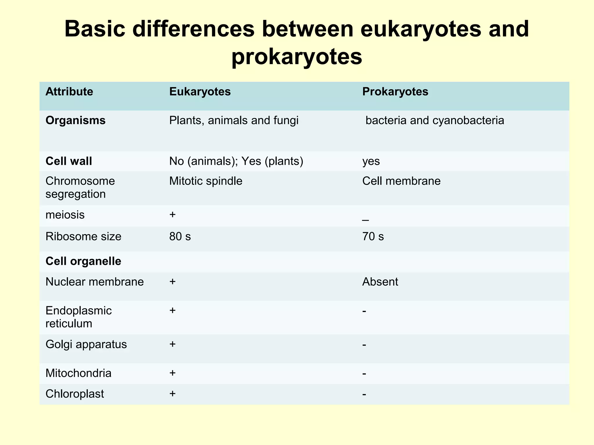 BASICS OF MOLECULAR BIOLOGY