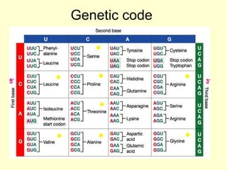BASICS OF MOLECULAR BIOLOGY | PPT
