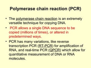 BASICS OF MOLECULAR BIOLOGY | PPT