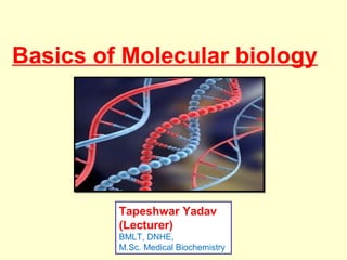 Basics of Molecular biology
Tapeshwar Yadav
(Lecturer)
BMLT, DNHE,
M.Sc. Medical Biochemistry
 