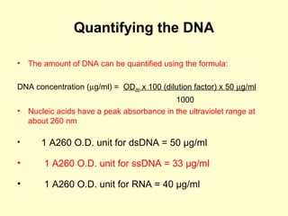 Basics of Molecular Biology | PPT