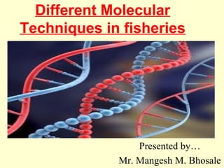 Different Molecular
Techniques in fisheries
Presented by…
Mr. Mangesh M. Bhosale
 