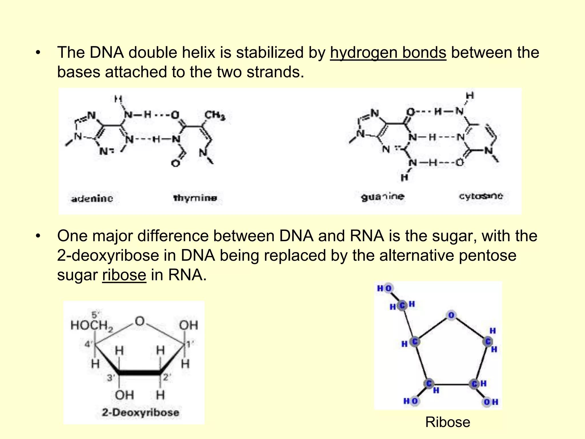 Basics of molecular biology tools and techniques PPT