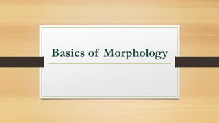 Basics of Morphology
 