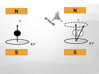 N             N
    Z             Z




        X,Y           X,Y


S             S
 