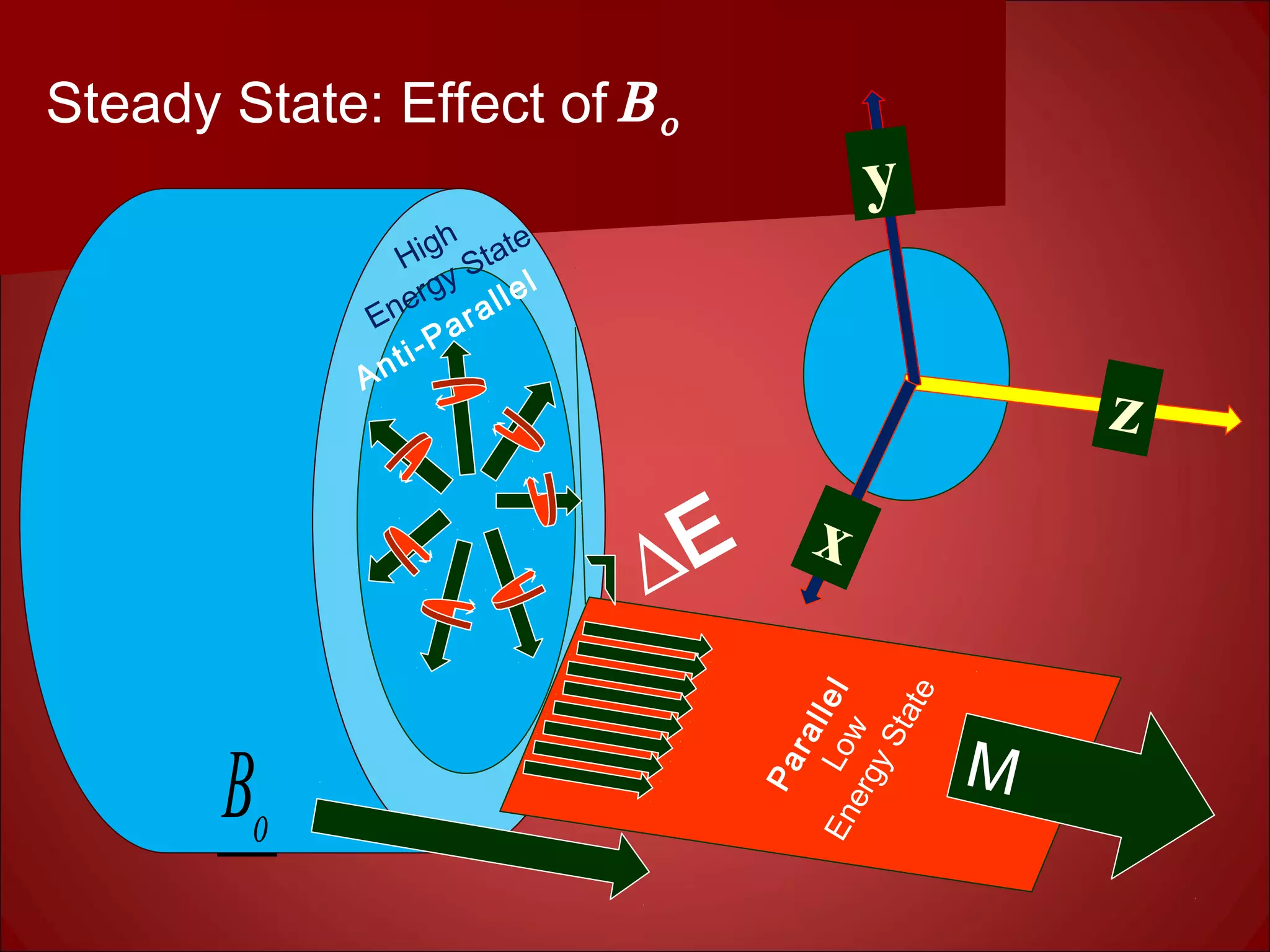 LowEnergyState
∆E
oB
Steady State: Effect of
M
Βο
Parallel
y
x
z
Anti-Parallel
High
Energy State
 