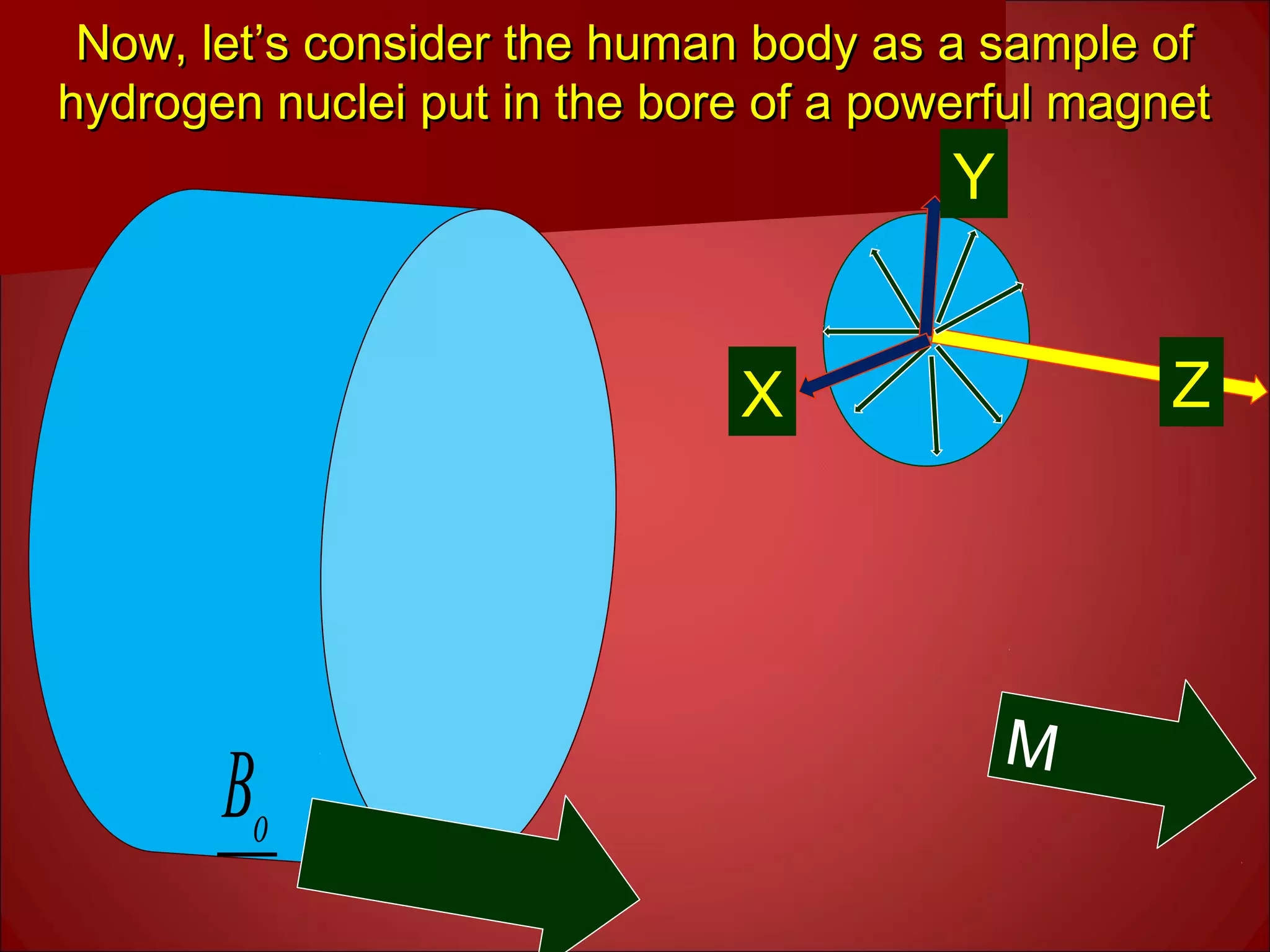 Now, let’s consider the human body as a sample ofNow, let’s consider the human body as a sample of
hydrogen nuclei put in the bore of a powerful magnethydrogen nuclei put in the bore of a powerful magnet
oB
M
X
Y
Z
 