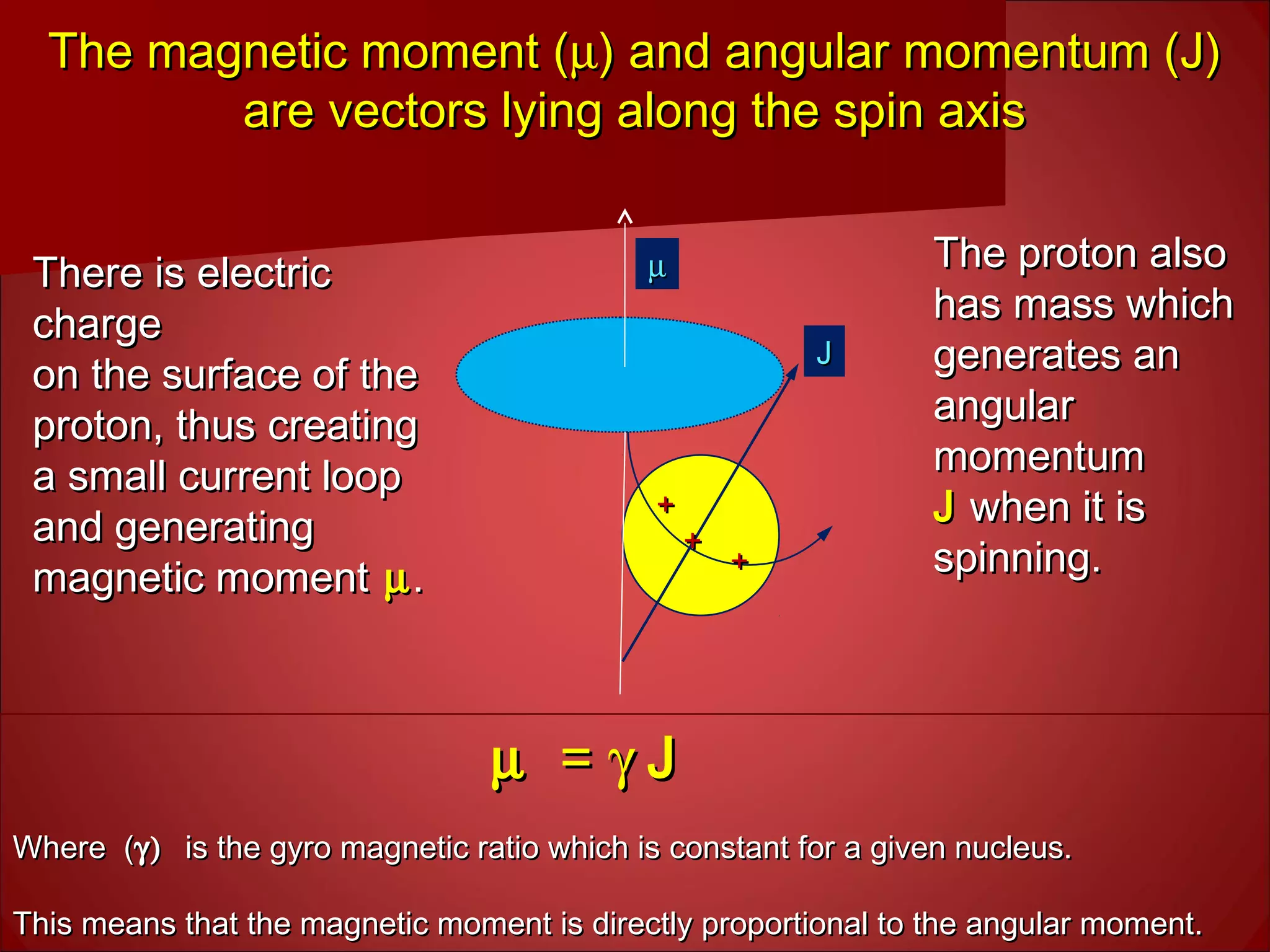 ++
++
++
There is electricThere is electric
chargecharge
on the surface of theon the surface of the
proton, thus creatingproton, thus creating
a small current loopa small current loop
and generatingand generating
magnetic momentmagnetic moment µµ..
The proton alsoThe proton also
has mass whichhas mass which
generates angenerates an
angularangular
momentummomentum
JJ when it iswhen it is
spinning.spinning.
JJ
µµ
The magnetic moment (The magnetic moment (µµ) and angular momentum (J)) and angular momentum (J)
are vectors lying along the spin axisare vectors lying along the spin axis
µµ == γγ JJ
Where (Where (γ)γ) is the gyro magnetic ratio which is constant for a given nucleus.is the gyro magnetic ratio which is constant for a given nucleus.
This means that the magnetic moment is directly proportional to the angular moment.This means that the magnetic moment is directly proportional to the angular moment.
 