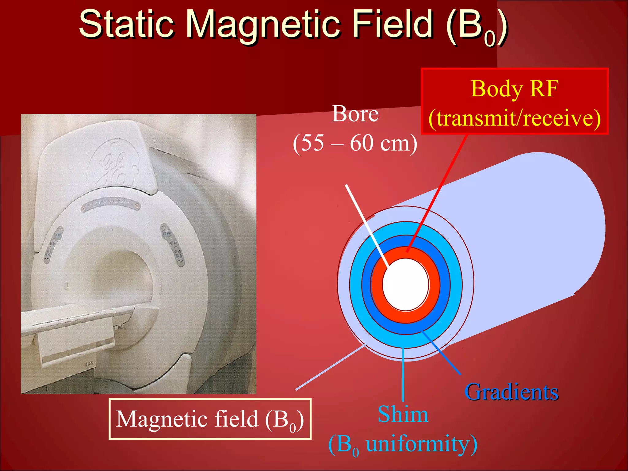 Static Magnetic Field (BStatic Magnetic Field (B00))
Bore
(55 – 60 cm)
Shim
(B0 uniformity)
Magnetic field (B0)
Body RF
(transmit/receive)
GradientsGradients
 