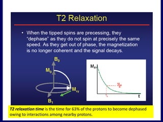 Basics of mri physics Dr. Muhammad Bin Zulfiqar | PPTX