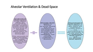 Alveolar Ventilation & Dead-Space
 