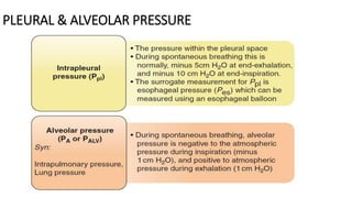 PLEURAL & ALVEOLAR PRESSURE
 