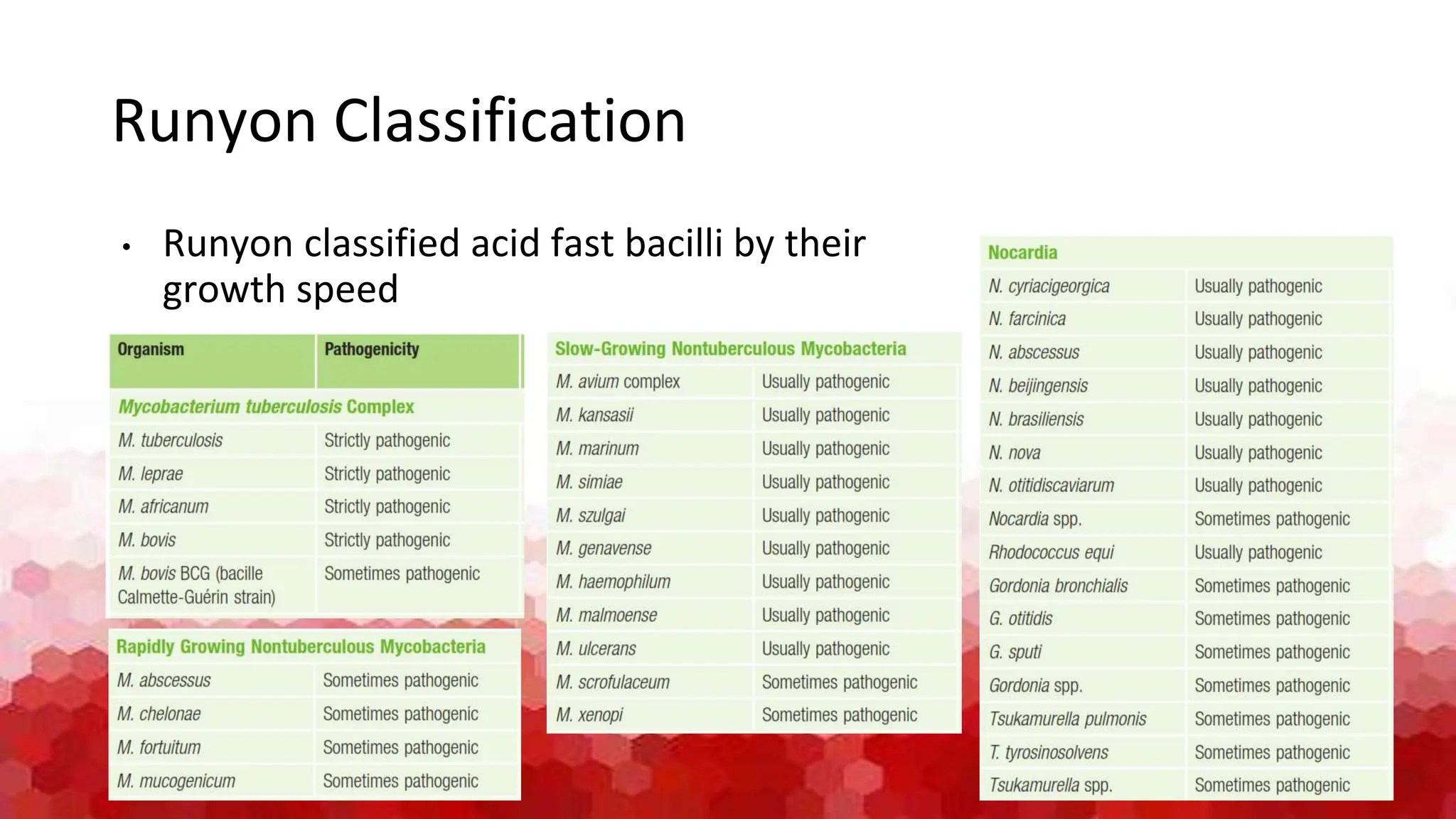 Basics of Mycobacterium spp for student.pptx