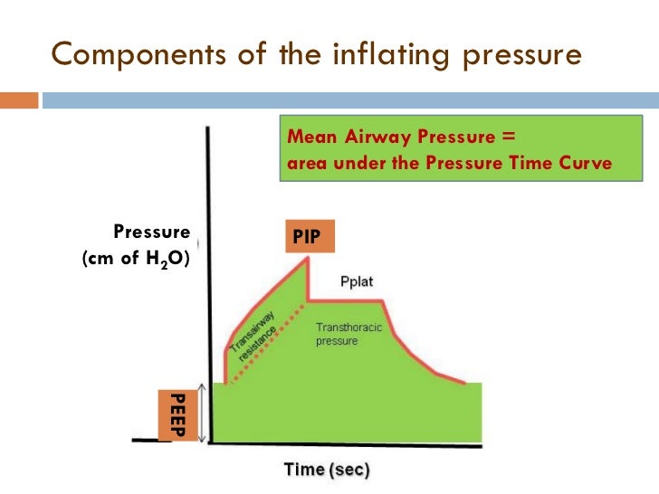 Basics of neonatal ventilation 1