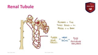 Basics of nephrology by haitham nabeel.pdf