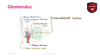 Basics of nephrology by haitham nabeel.pdf