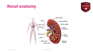 Basics of nephrology by haitham nabeel.pdf