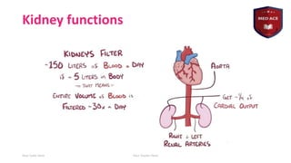Basics of nephrology by haitham nabeel.pdf