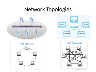 Network Topologies
 