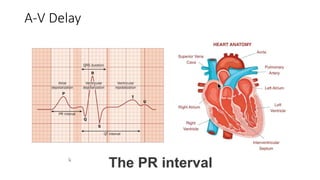 Basics of Pacemaker Dr Hafeesh Fazulu Pushpagiri | PPTX