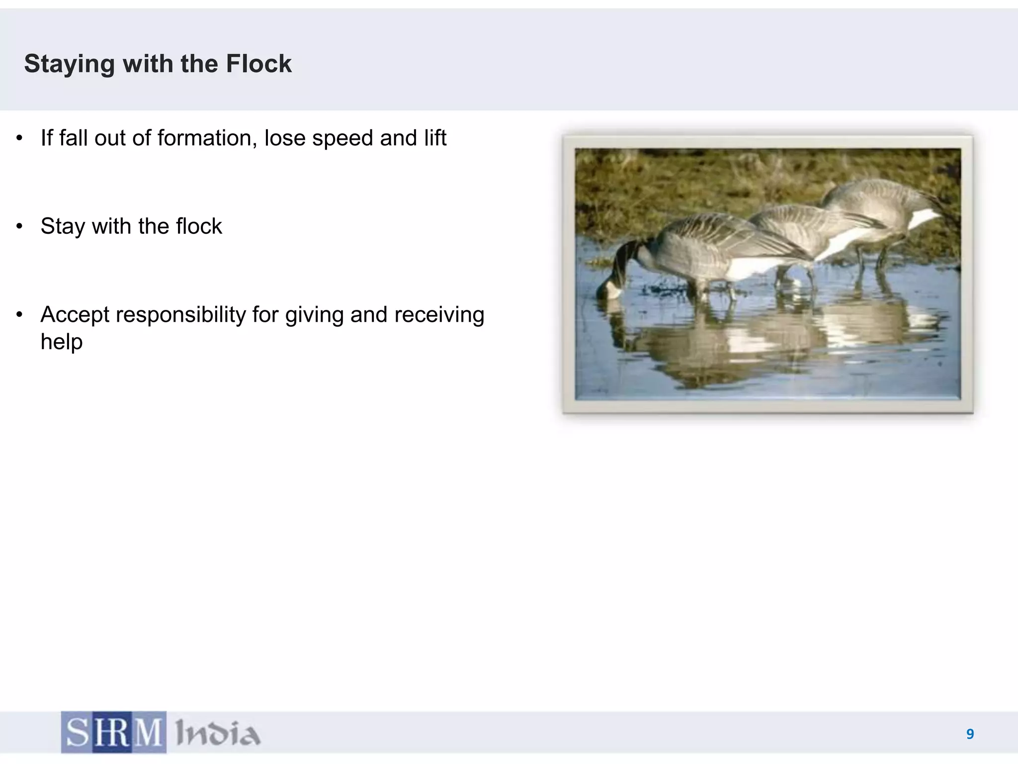 Staying with the Flock

• If fall out of formation, lose speed and lift


• Stay with the flock


• Accept responsibility for giving and receiving
  help




                                                       9
                                                   9
 