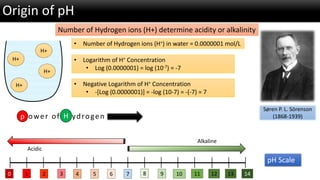 Origin of pH 
SørenP. L. Sörenson 
(1868-1939) 
H+ 
H+ 
H+ 
H+ 
Number of Hydrogen ions (H+) determine acidity or alkalini...
